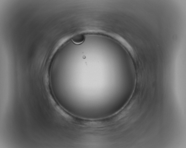 X0000113911287200909241502