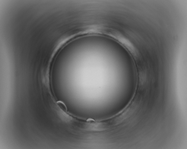 X0000113911288200909241502