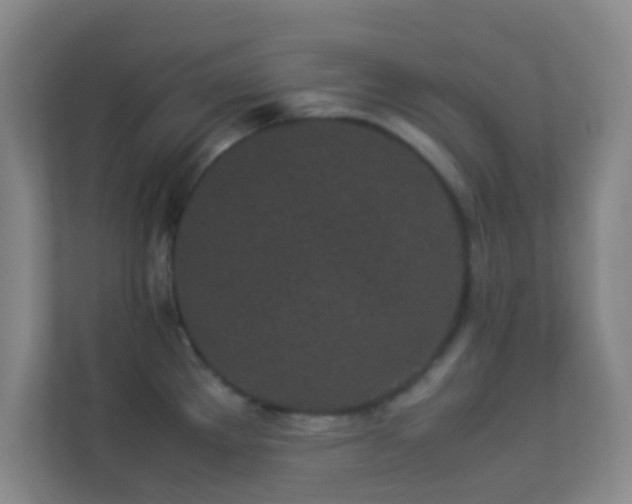 X0000113911289200909241502