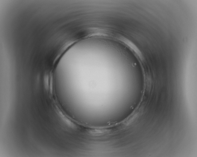 X0000113911290200909241502
