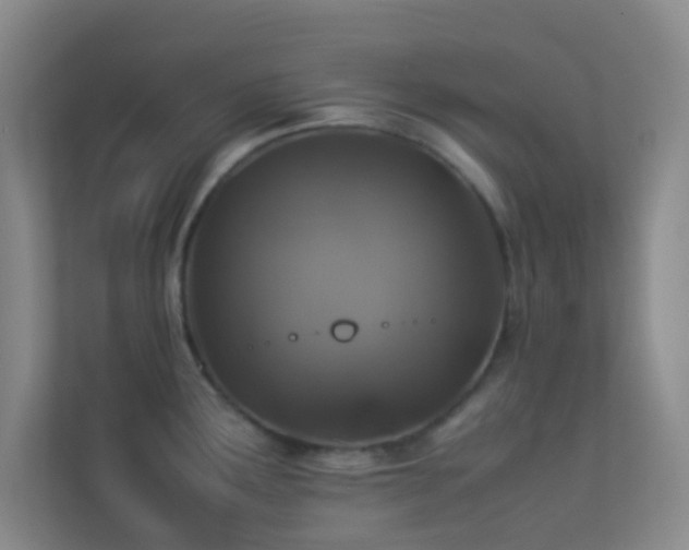 X0000113911291200909241502
