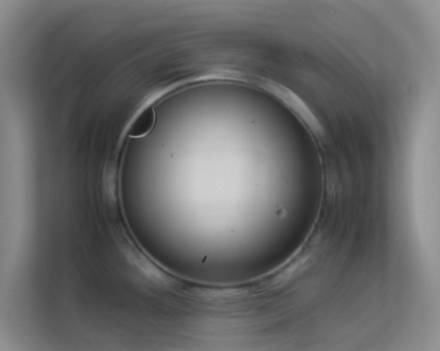 X0000113911292200909241502