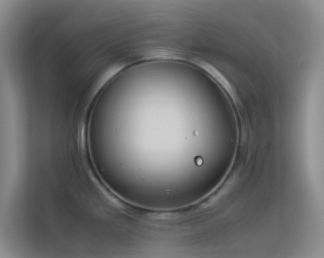 X0000113911293200909241502
