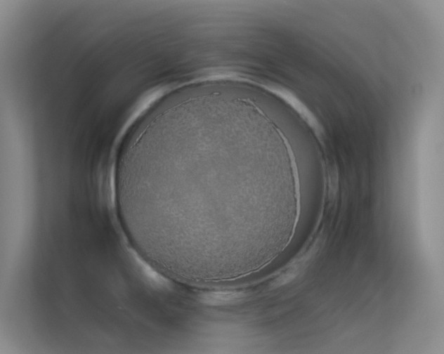 X0000113911294200909241502