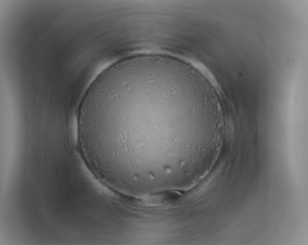 X0000113911295200909241502