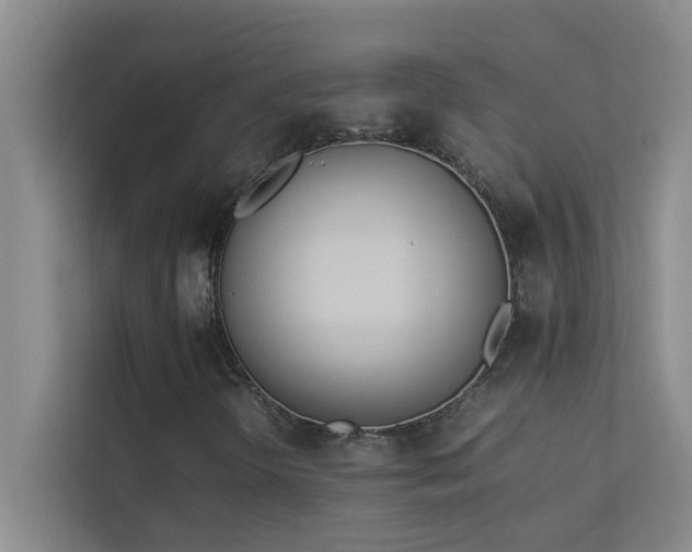 X0000113911298200909241501
