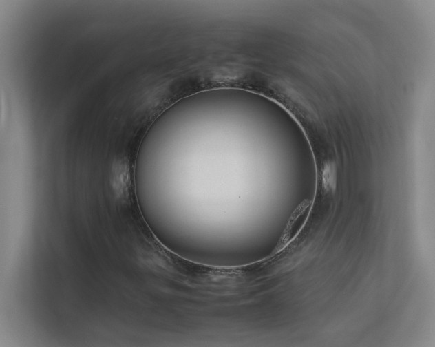 X0000113911299200909241501