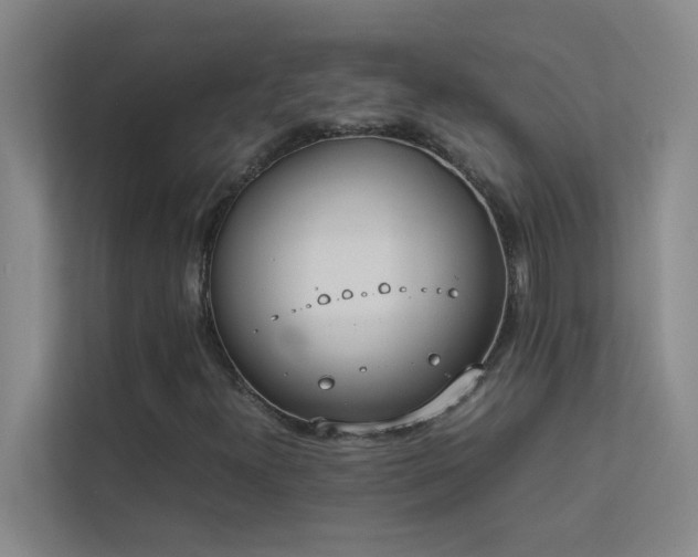 X0000113911300200909241501