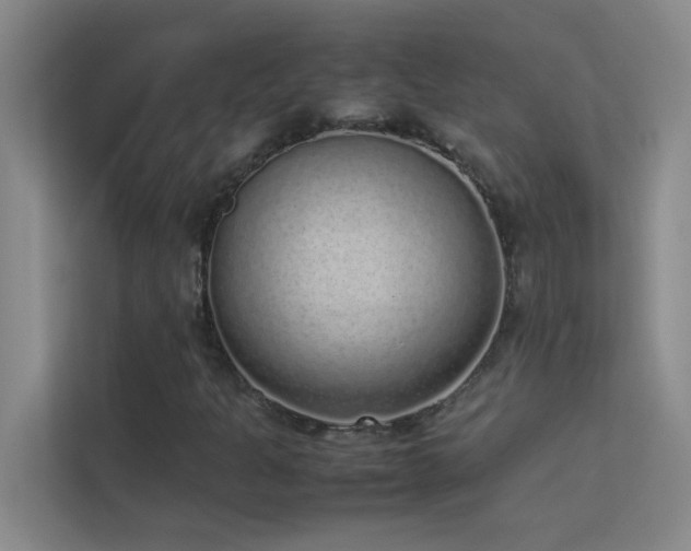 X0000113911301200909241501