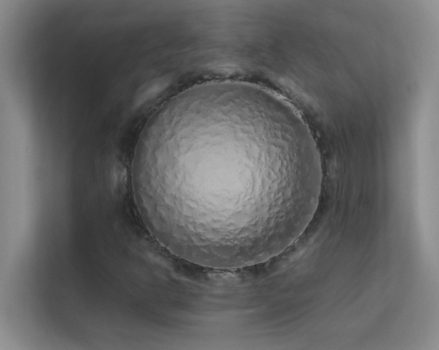 X0000113911302200909241501