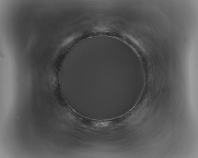 X0000113911303200909241501