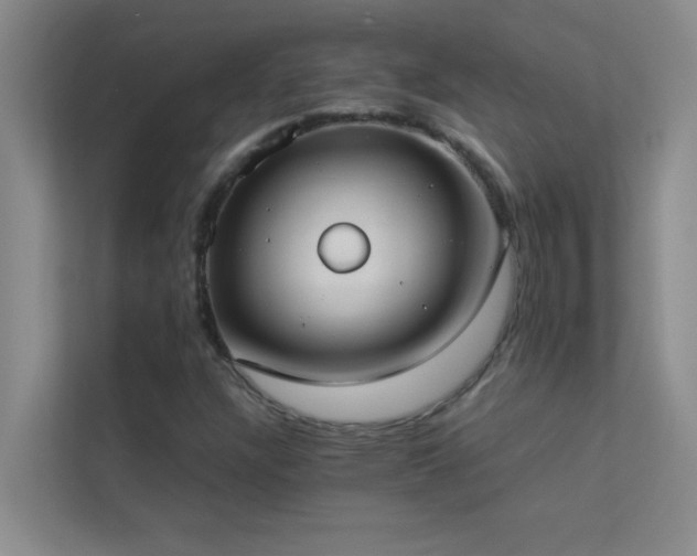 X0000113911304200909241501