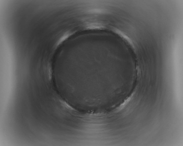 X0000113911306200909241501