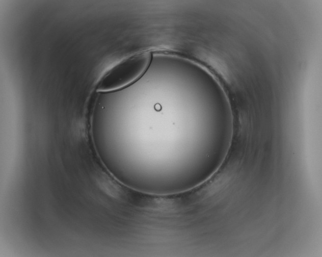 X0000113911308200909241501