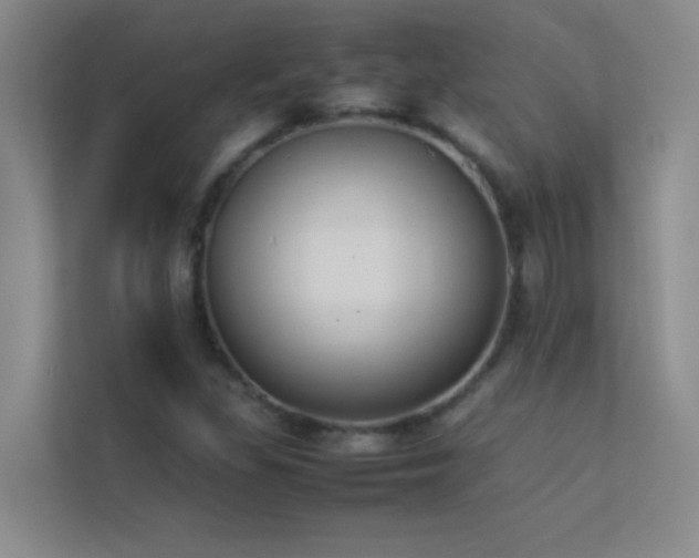 X0000113911309200909241501