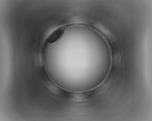 X0000113911310200909241501