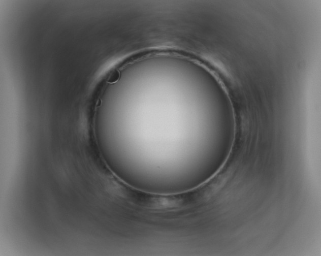X0000113911311200909241501