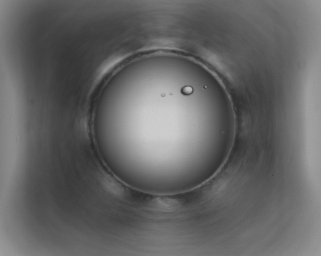 X0000113911312200909241501