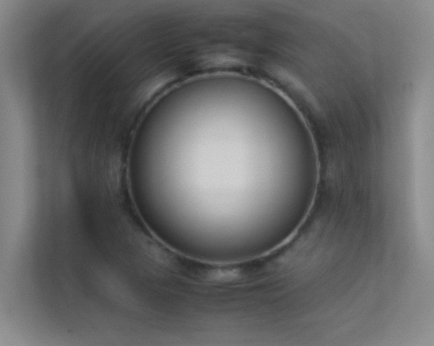 X0000113911313200909241501
