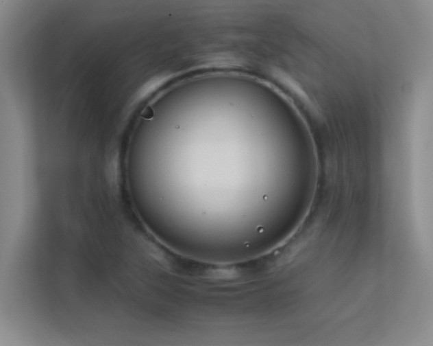 X0000113911315200909241501