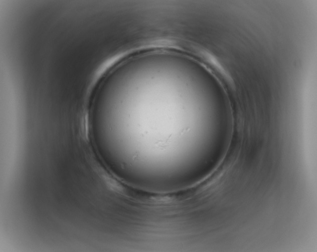 X0000113911320200909241501