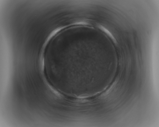X0000113911323200909241501
