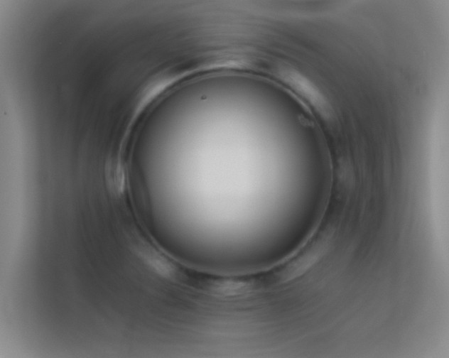 X0000113911324200909241501