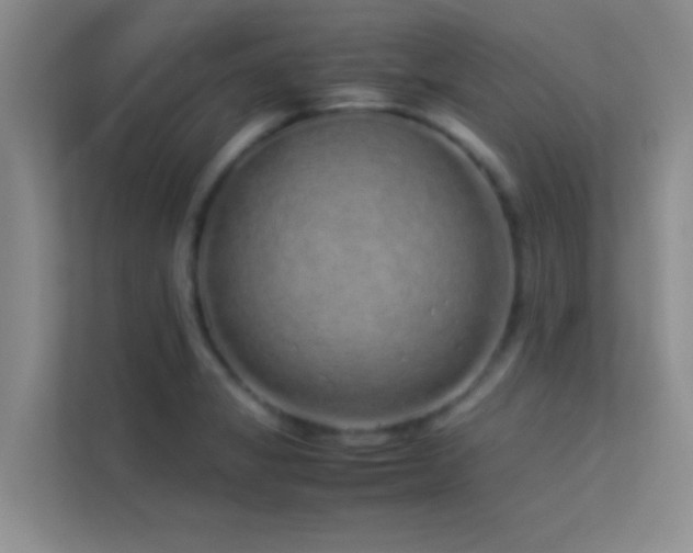 X0000113911325200909241501