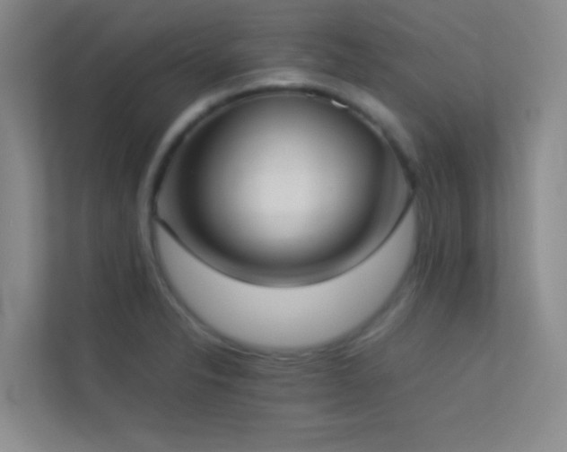 X0000113911326200909241501