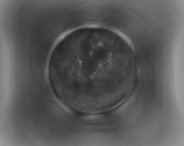 X0000113911327200909241501