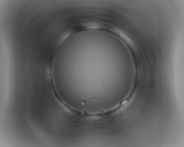 X0000113911329200909241501