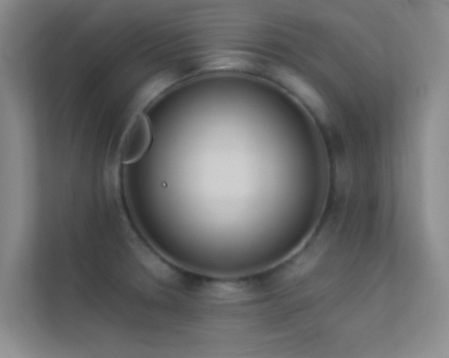 X0000113911330200909241501