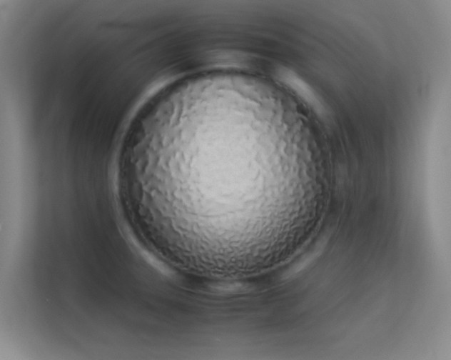 X0000113911331200909241501