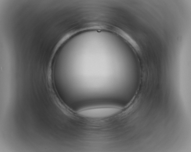 X0000113911332200909241501
