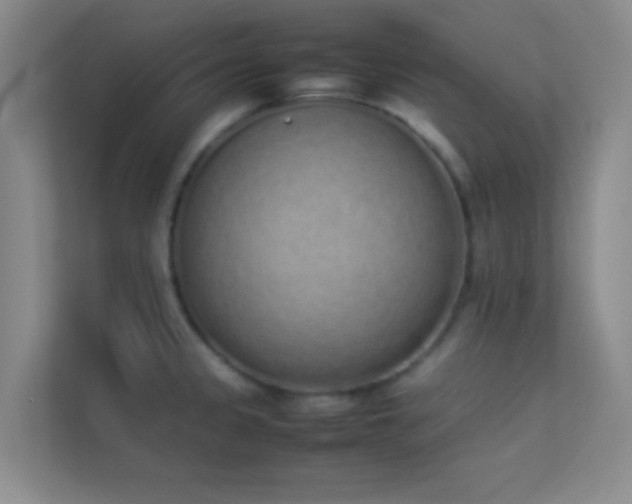 X0000113911333200909241501