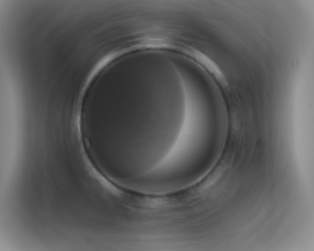 X0000113911334200909241501