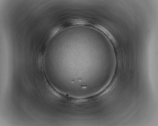 X0000113911337200909241502