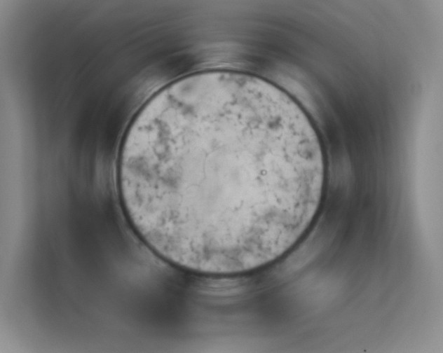 X0000113911338200909241502
