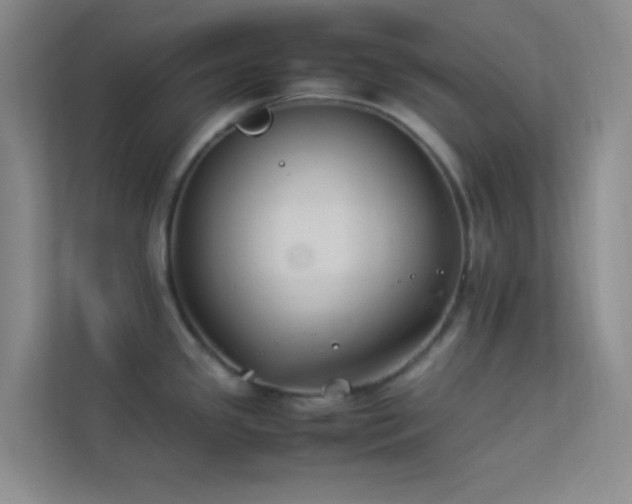 X0000113911341200909241502