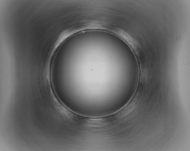 X0000113911342200909241502