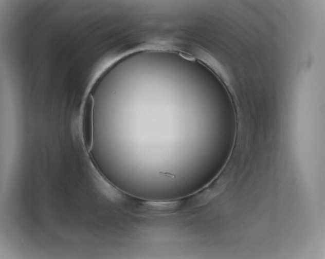X0000113911344200909241502