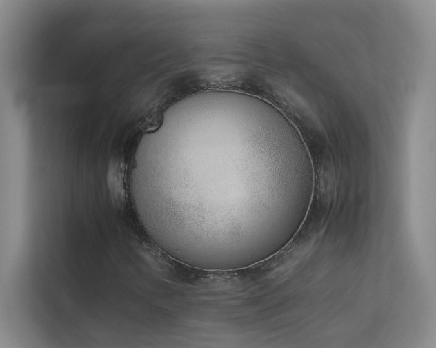 X0000113911346200909241501