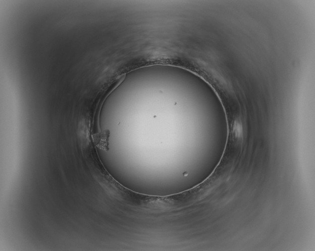 X0000113911348200909241501