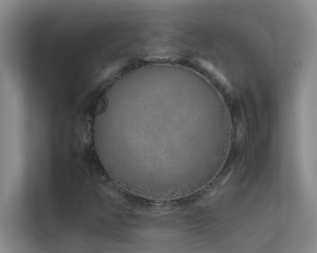 X0000113911350200909241501