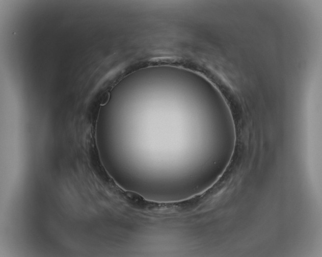 X0000113911351200909241501