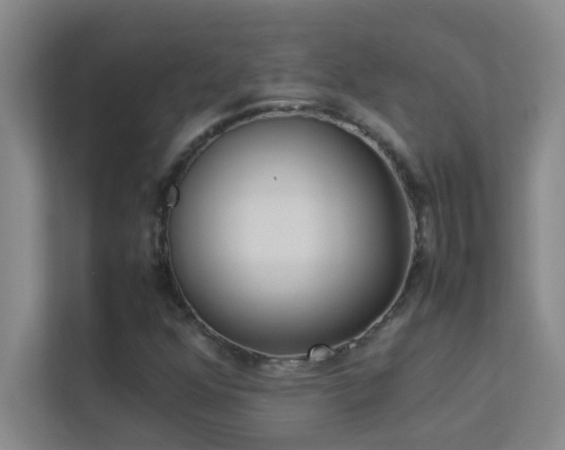 X0000113911352200909241501