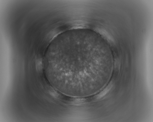 X0000113911353200909241501