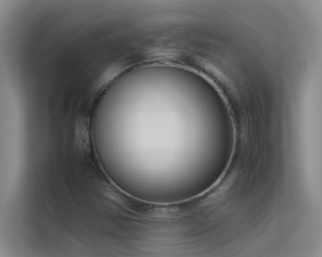 X0000113911354200909241501