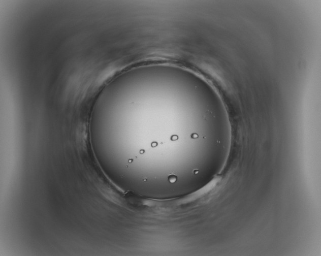 X0000113911355200909241501