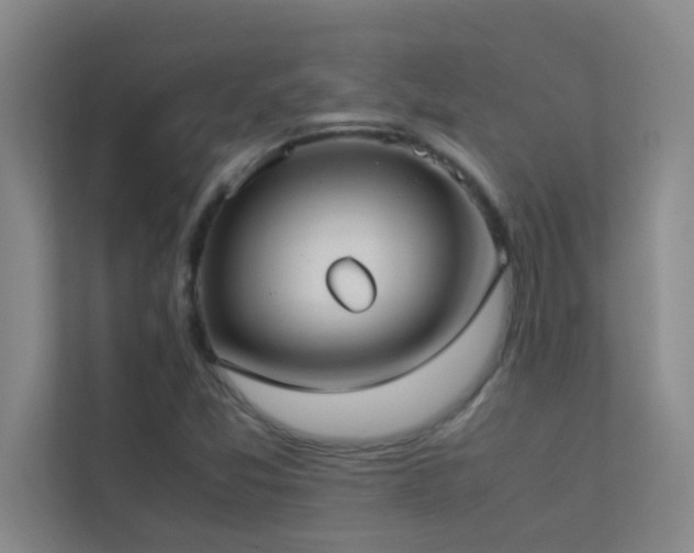 X0000113911357200909241501